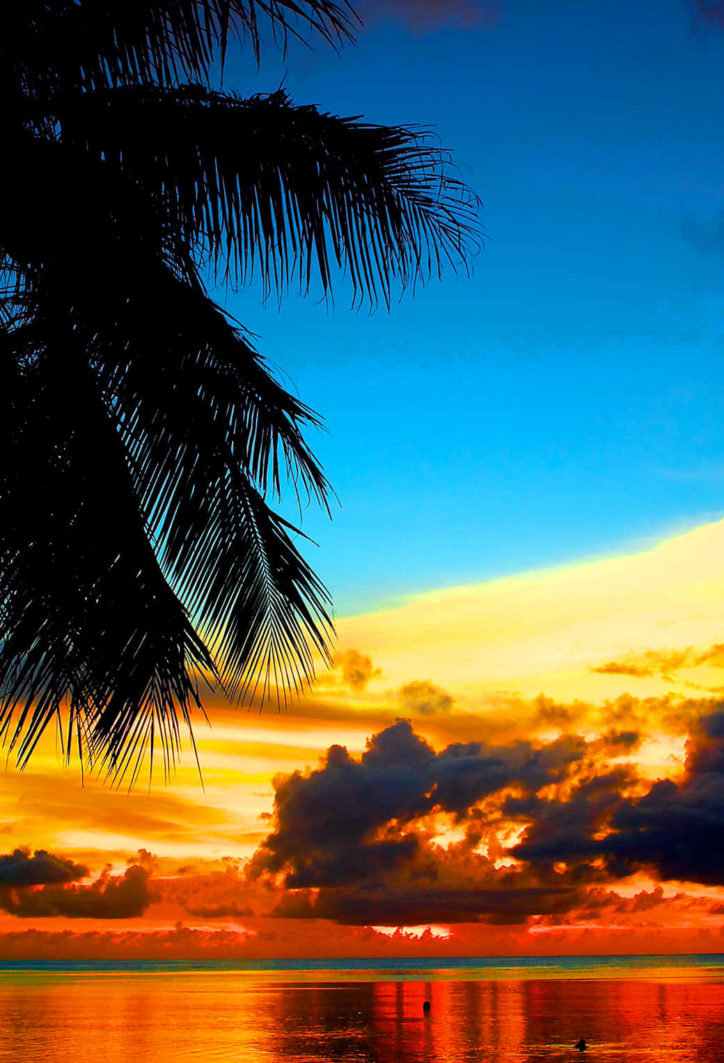 Tropical Sunset Blue Yellow And Orange Sky Background