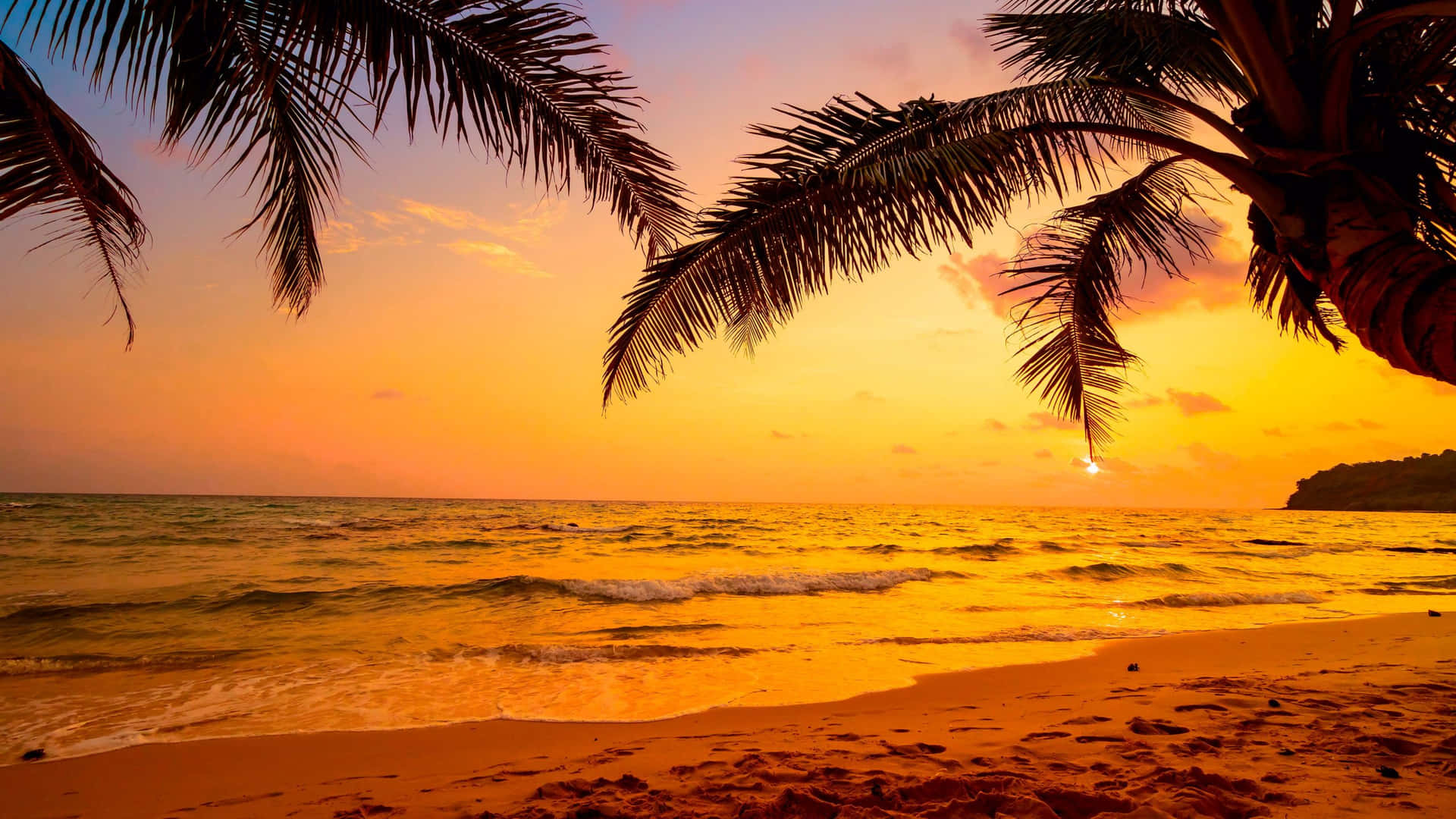 Tropical Sunset Chill Photo Background