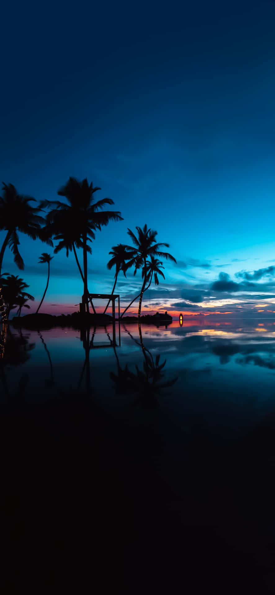 Tropical Sunset Light Blue Skies Background