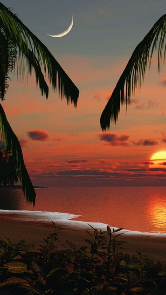 Tropical Sunset Moon Beautiful Background