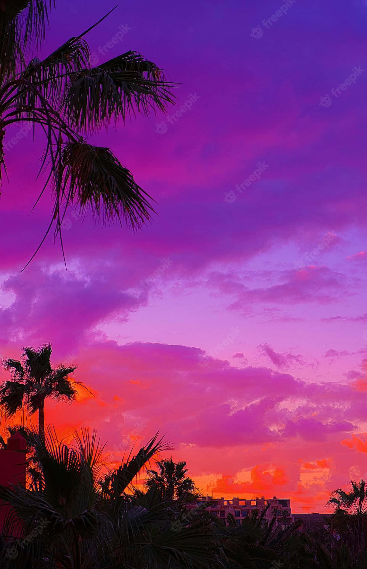 Tropical Sunset Purple And Orange Skies Palm Trees Background