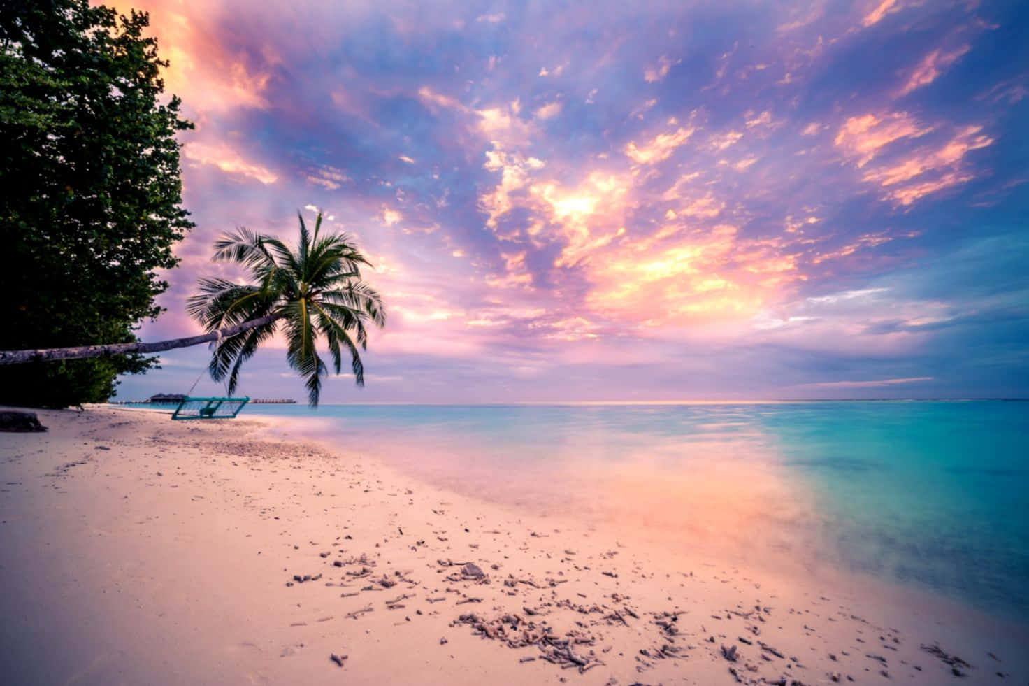 Tropical Sunset Purple Sky Background