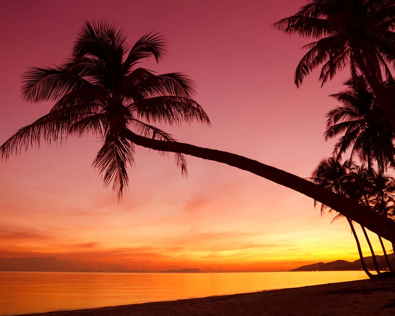 Tropical Sunset Relaxing Orange And Purple Sky Background