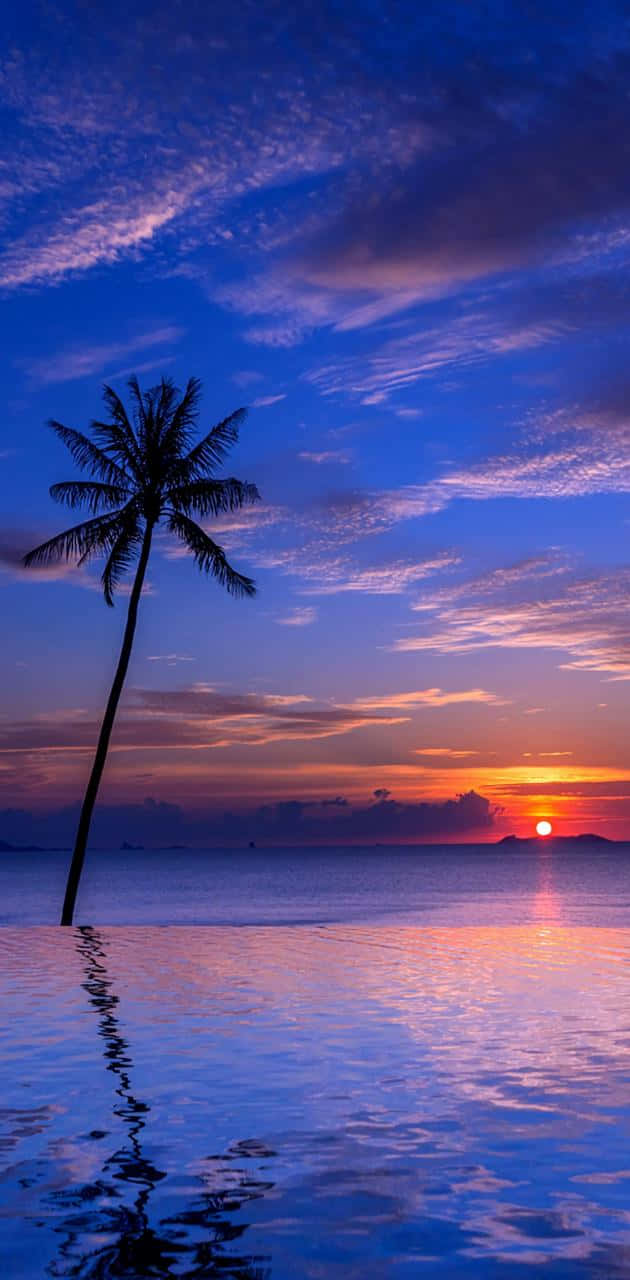 Tropical Sunset Sea Reflecting The Sky