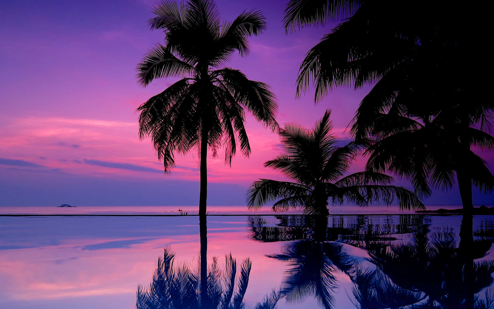 Tropical Sunset Violet And Pink Skies Background