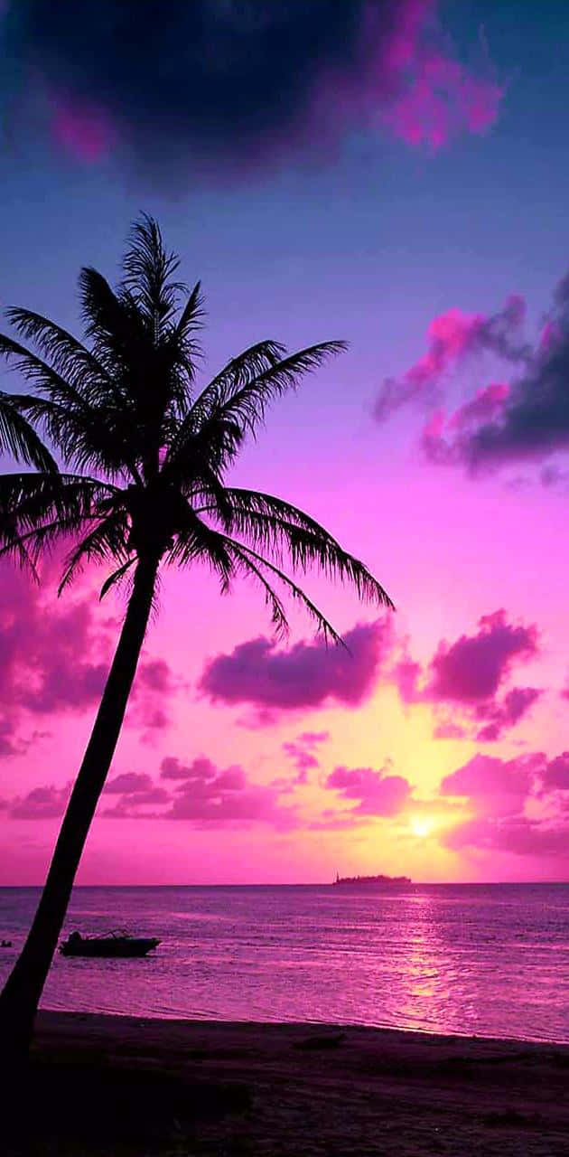 Tropical Sunset Violet Light Over The Beach Background