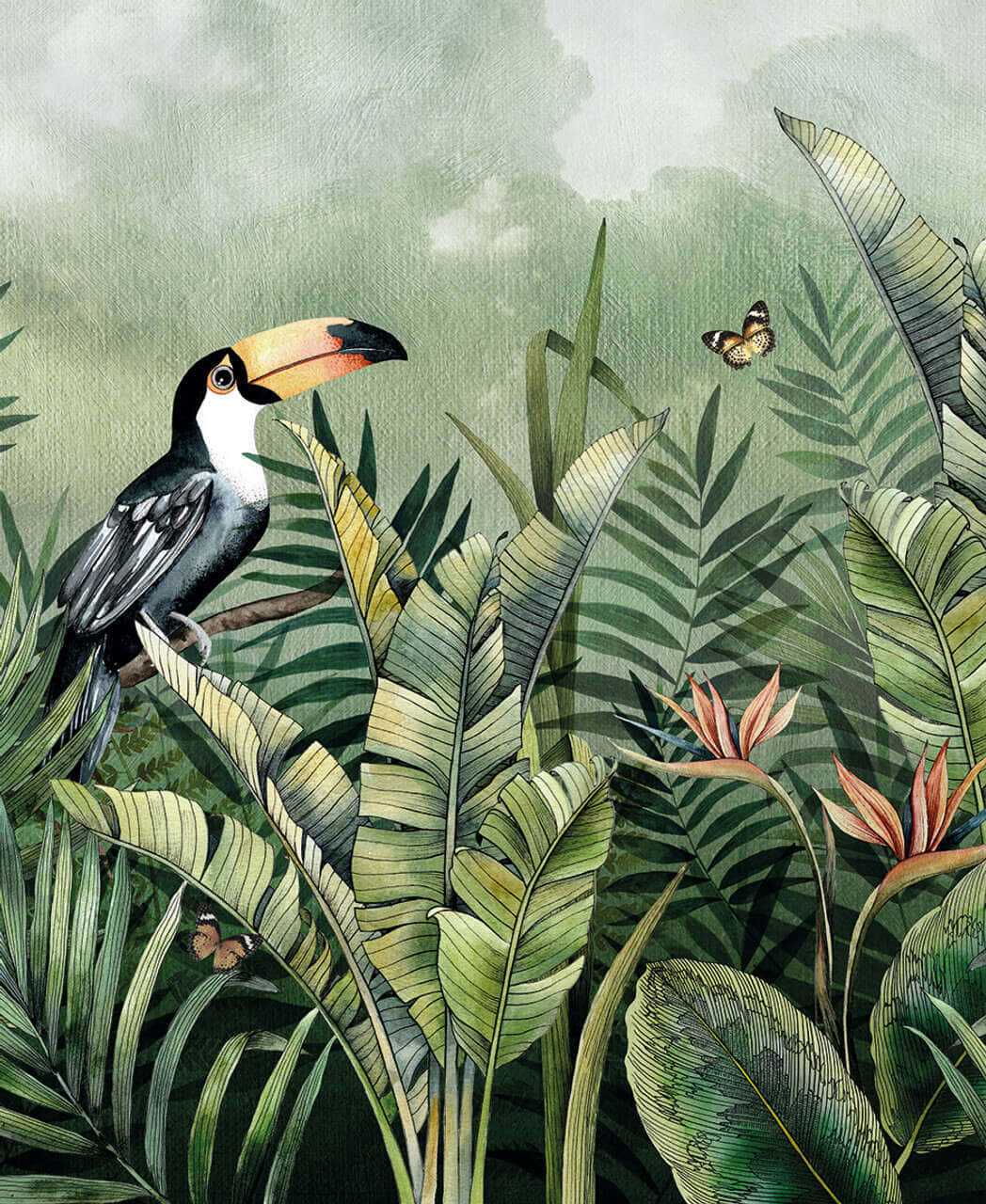 Tropical Toucan Illustration Background