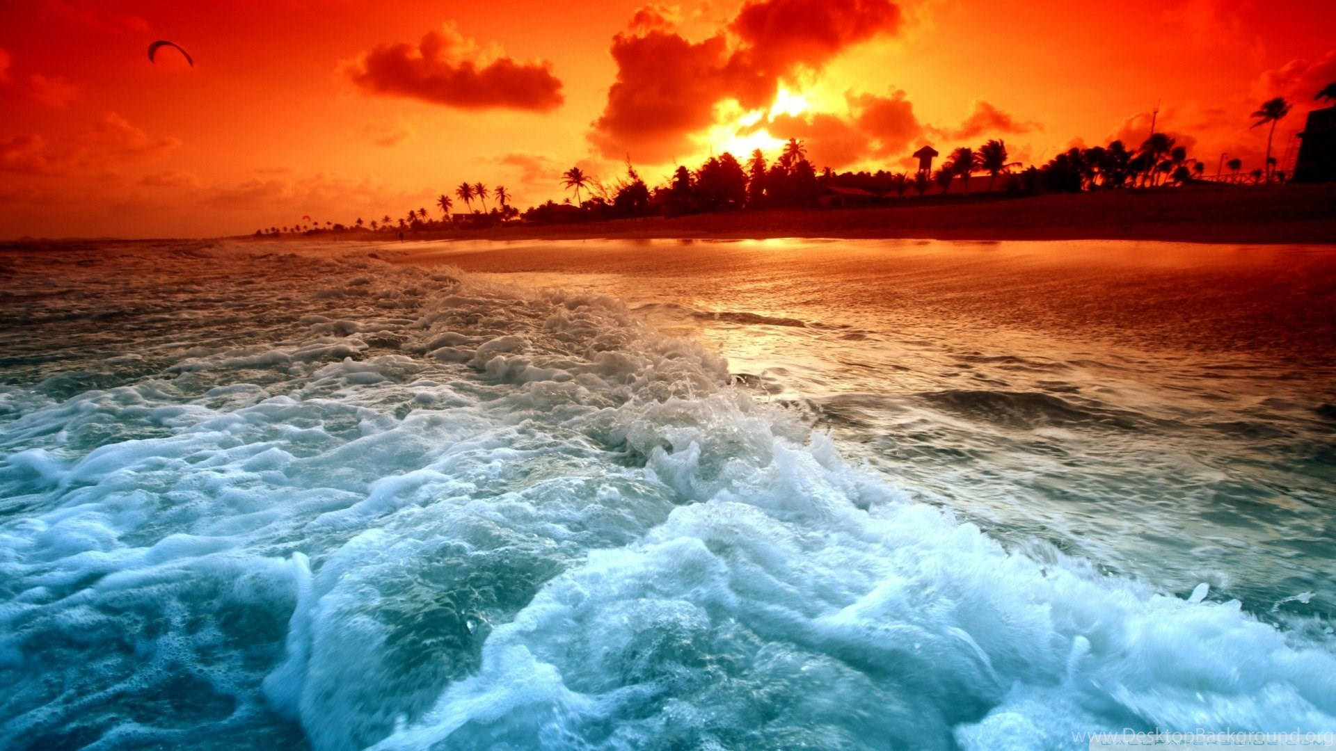 Tropical Warm Sunset Beach Background