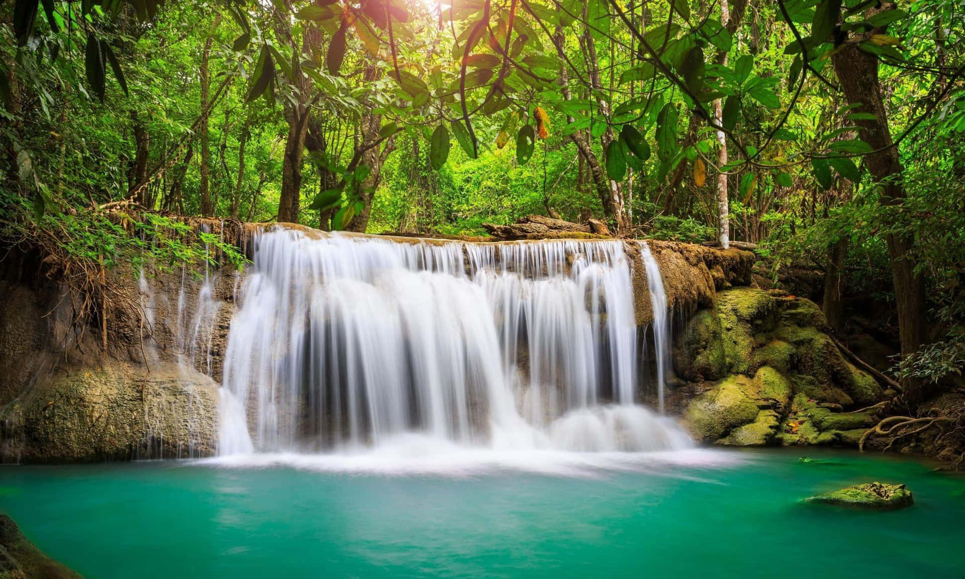 Tropical Waterfall Serenity.jpg Background