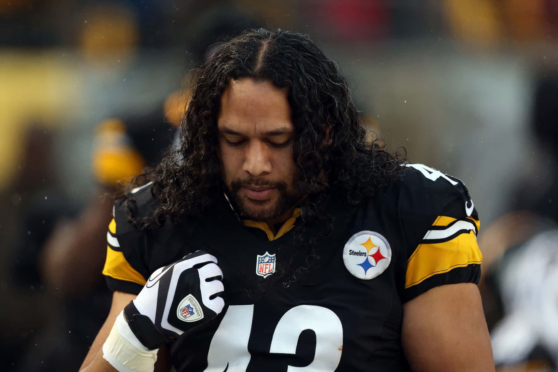 Troy Polamalu, 4-time Super Bowl Champion Background