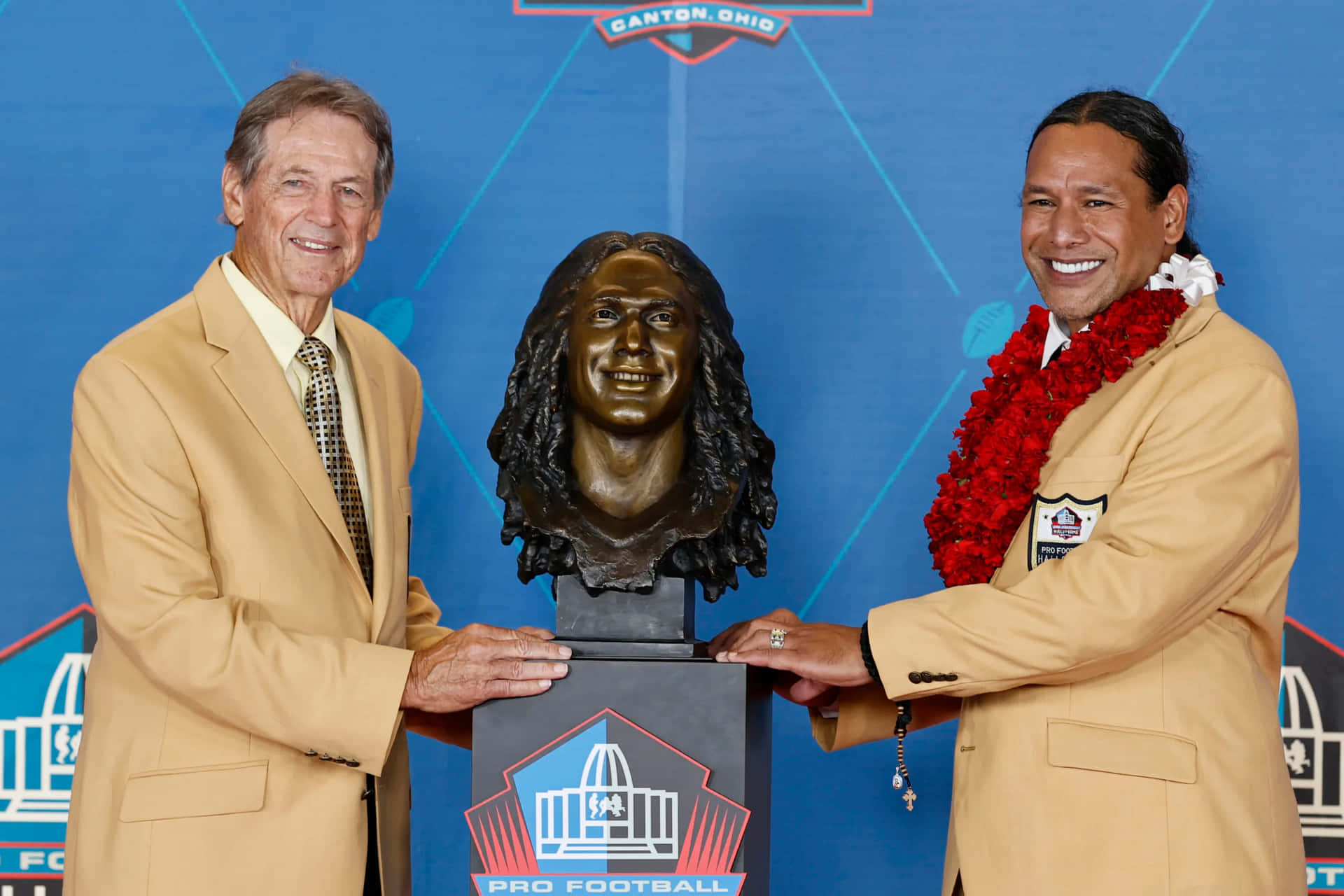 Troy Polamalu: All-pro Nfl Safety Background