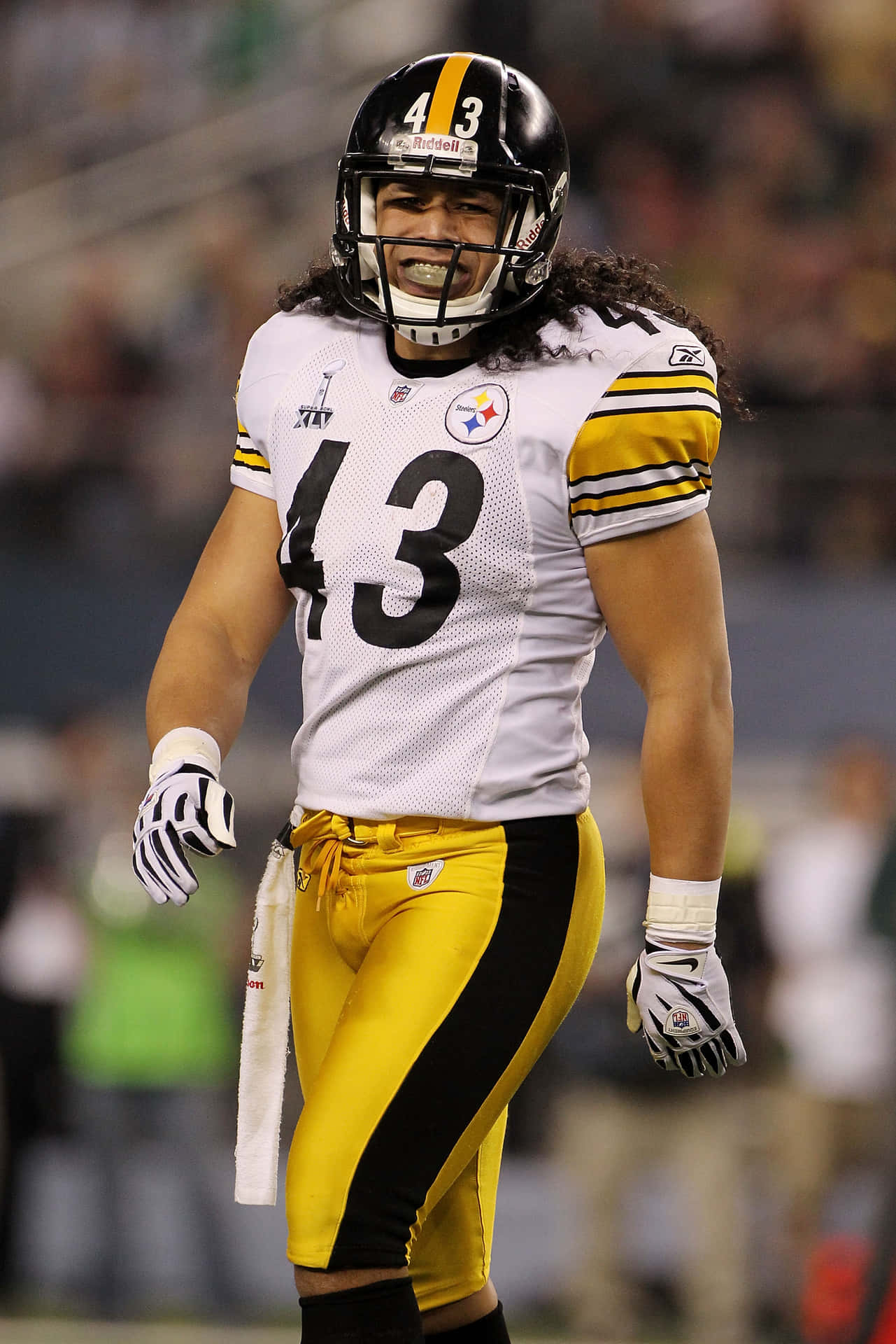 Troy Polamalu, Former Nfl Safety Background