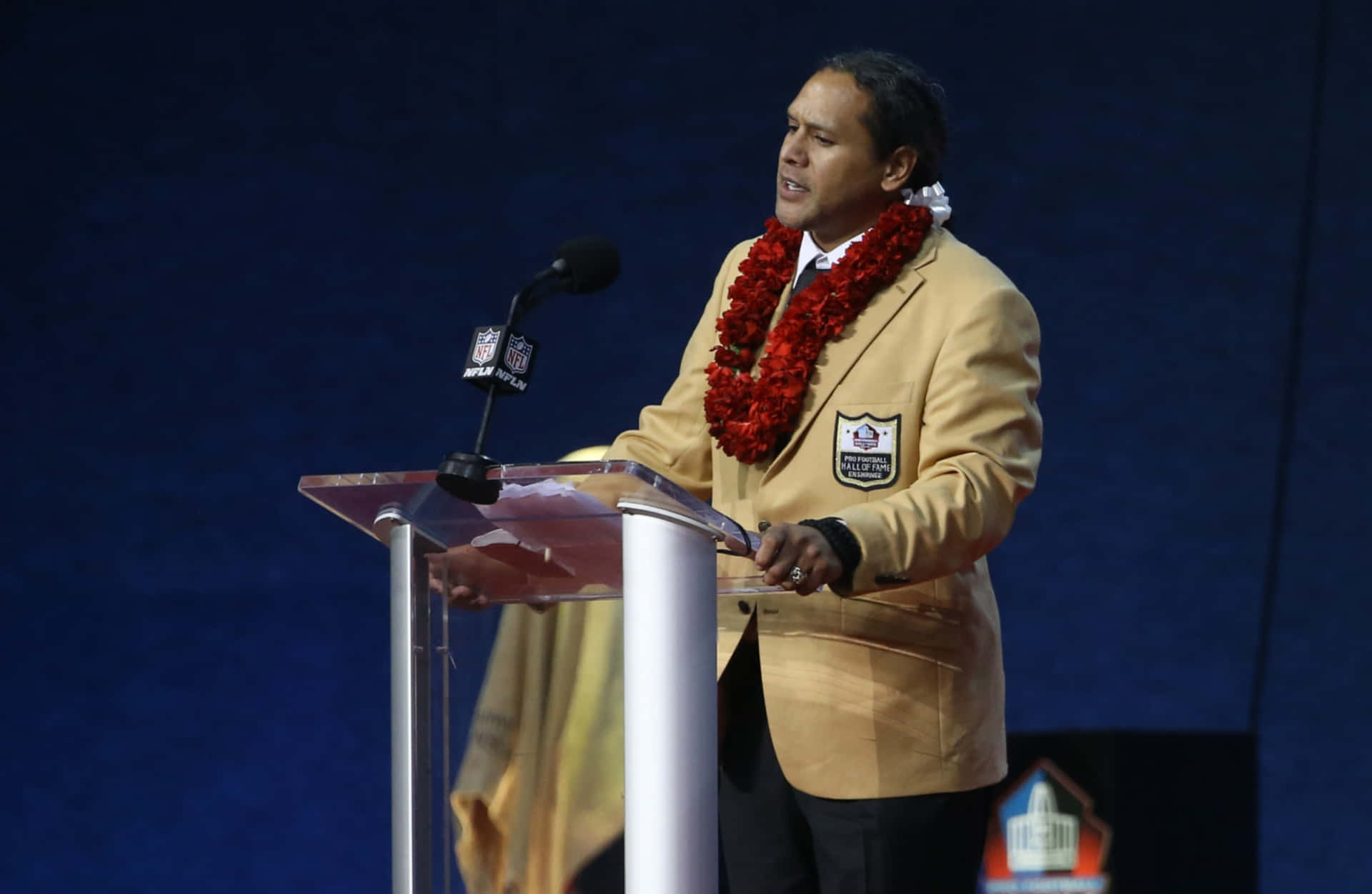 Troy Polamalu, Former Pittsburgh Steelers All-star Safety Background