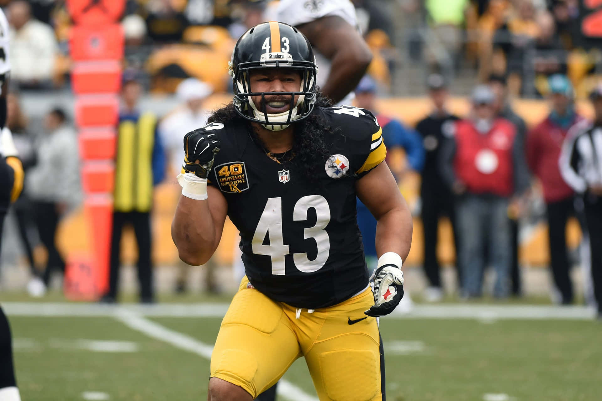 Troy Polamalu, Former Pittsburgh Steelers Safety Background