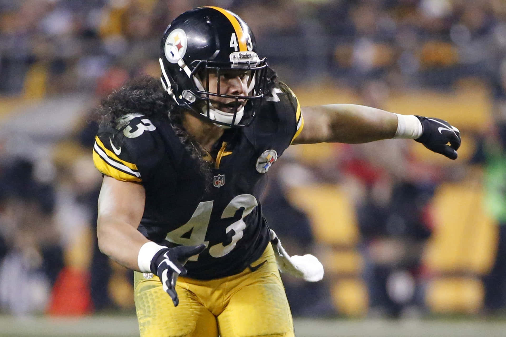 Troy Polamalu, Former Pittsburgh Steelers Safety Background