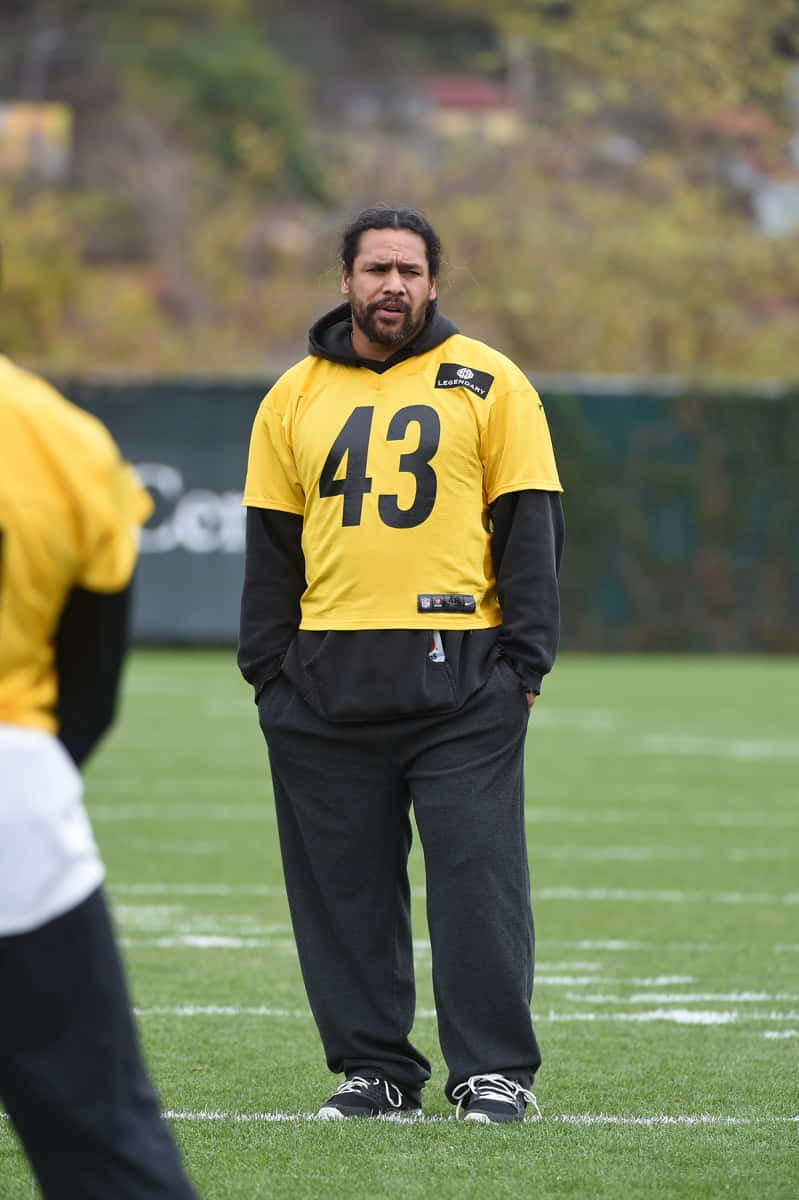 Troy Polamalu, Legendary Nfl Safety For The Pittsburgh Steelers Background