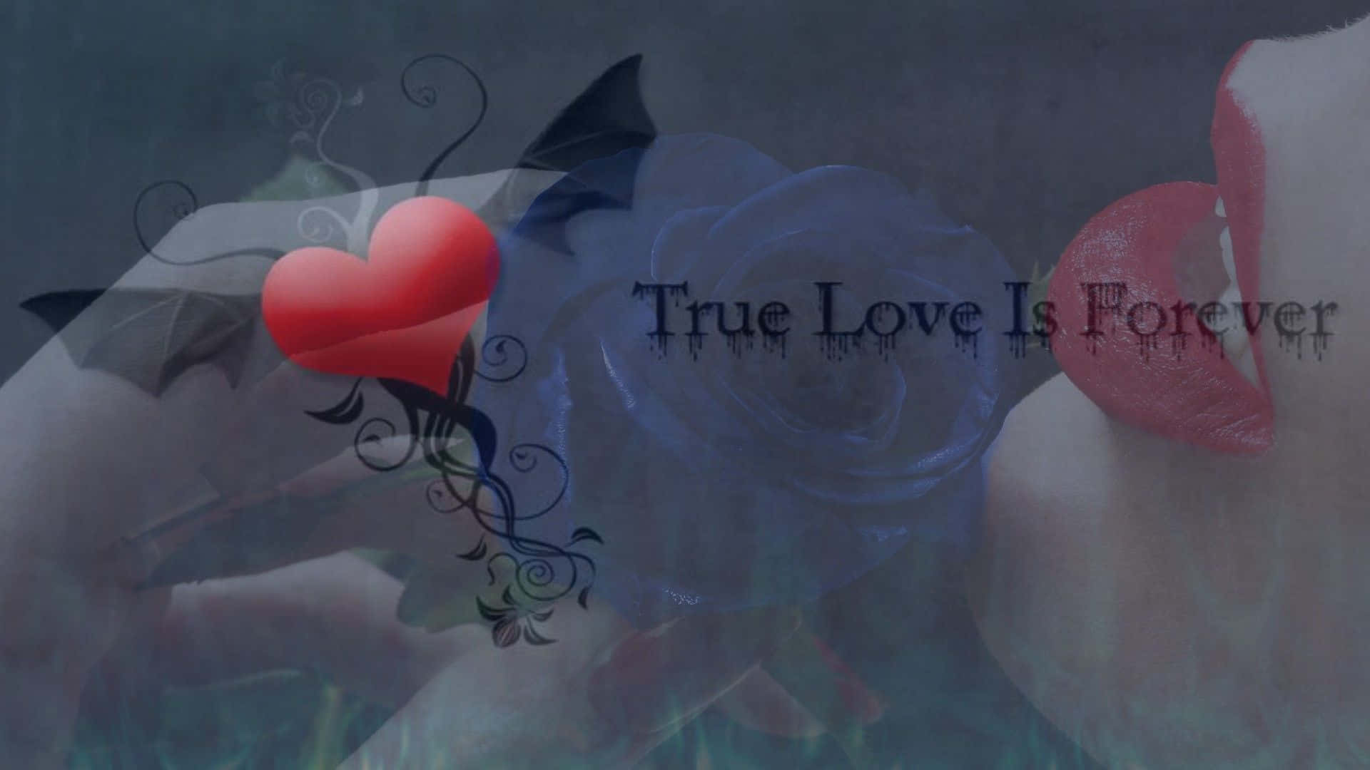 True Love Is Forever Wallpaper Background