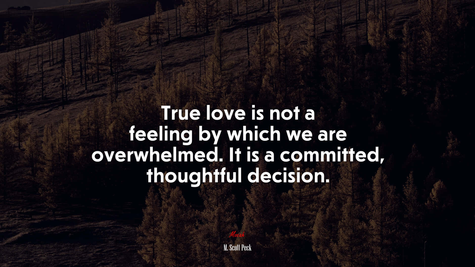 True Love Is Not Being Overwhelmed Background