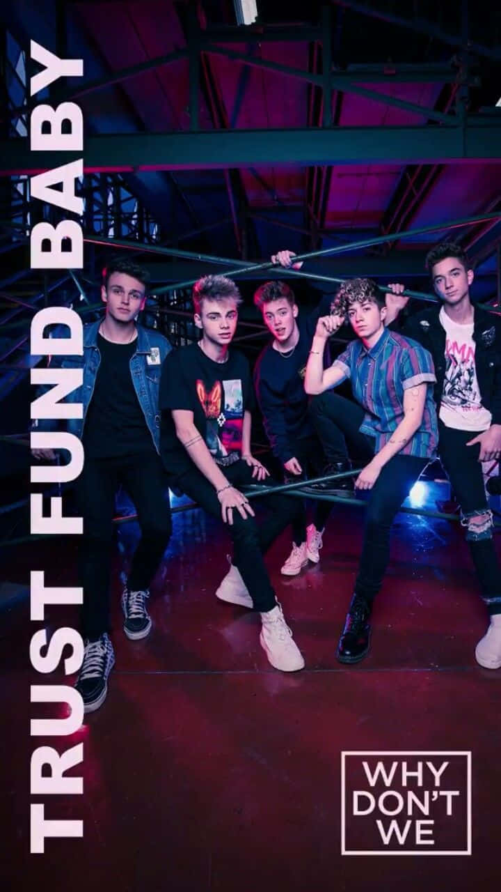 Trust Fund Baby - Why Don't We Background