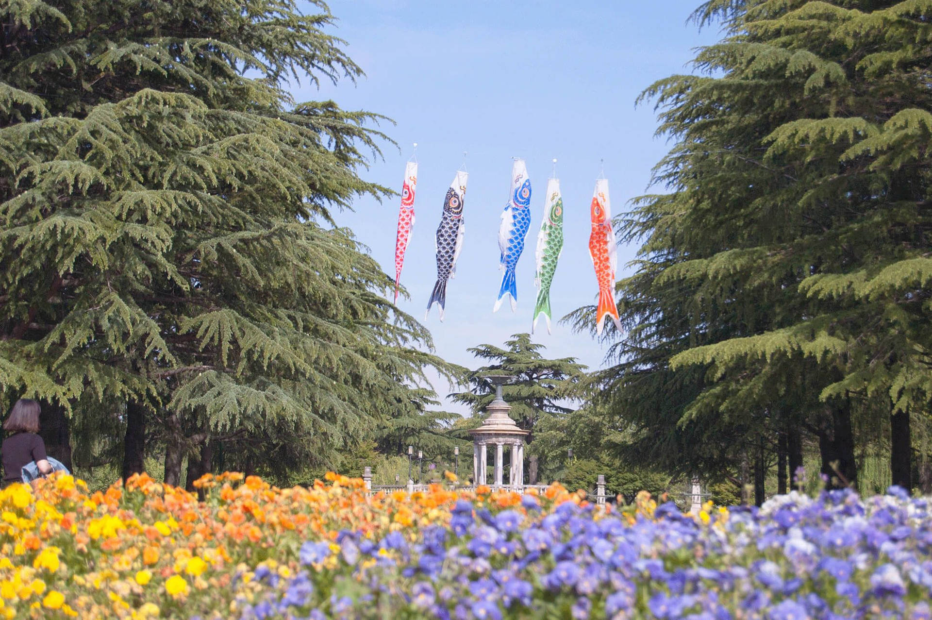 Tsuruma Flower Garden In Nagoya Background