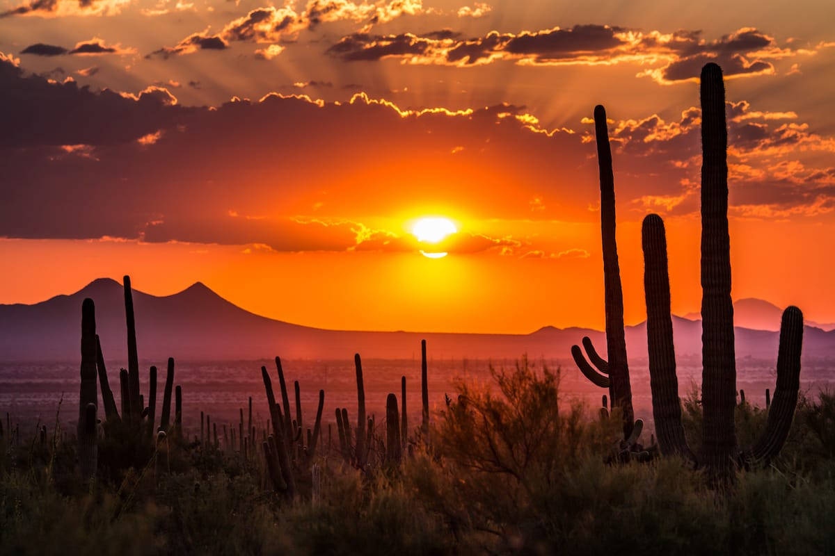 Tucson Orange Sunset Background