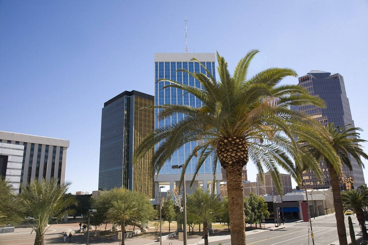 Tucson Palm Trees Background