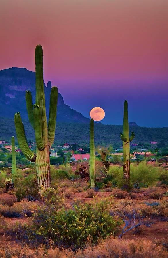 Tucson Purple Aesthetic Sunset Background