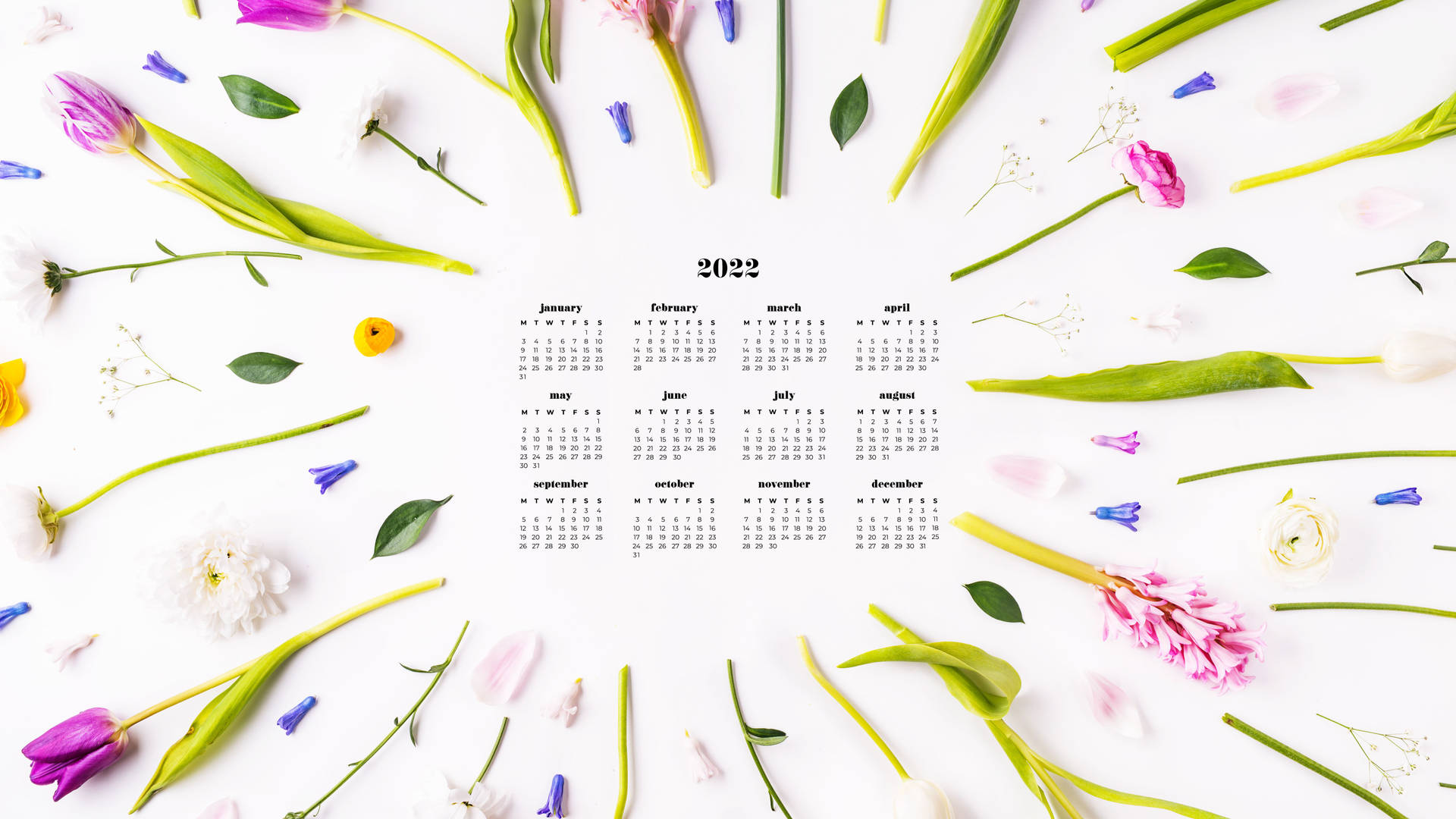 Tulips 2022 Calendar Background