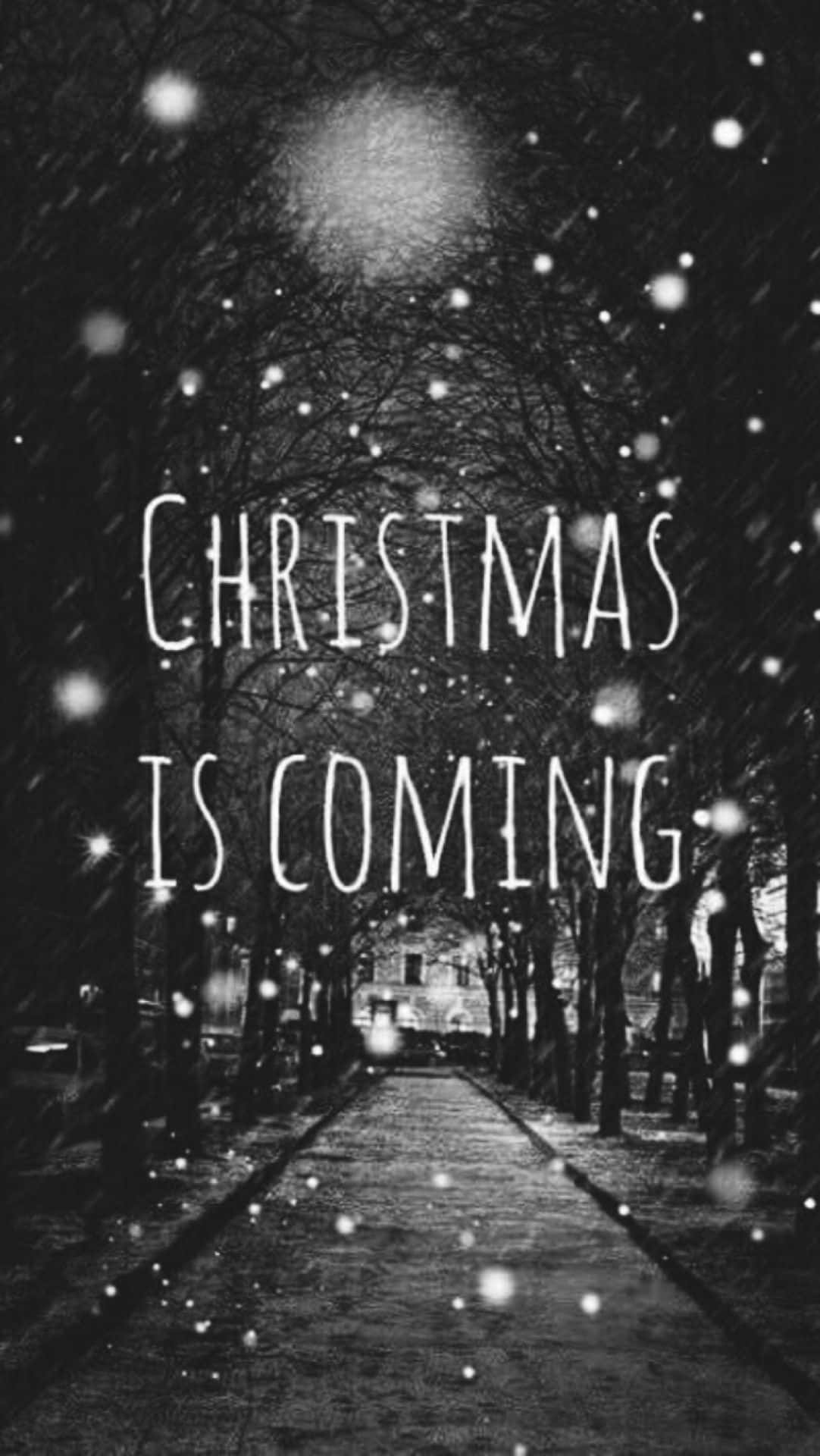 Tumblr Christmas Is Coming Snow Path Background