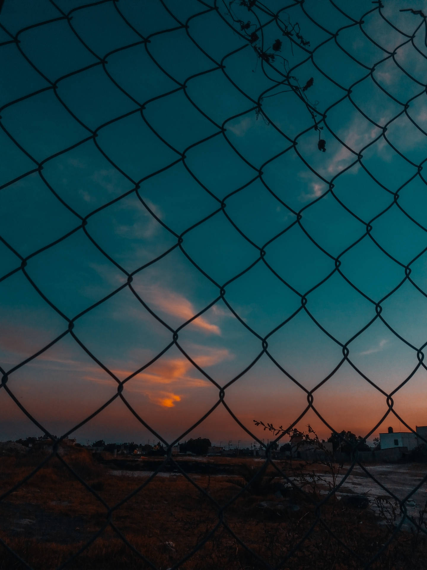 Tumblr Fence In Sunset Background