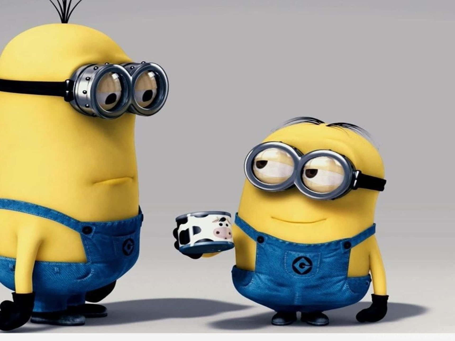 Tumblr Ipad Kevin And Bob Minion