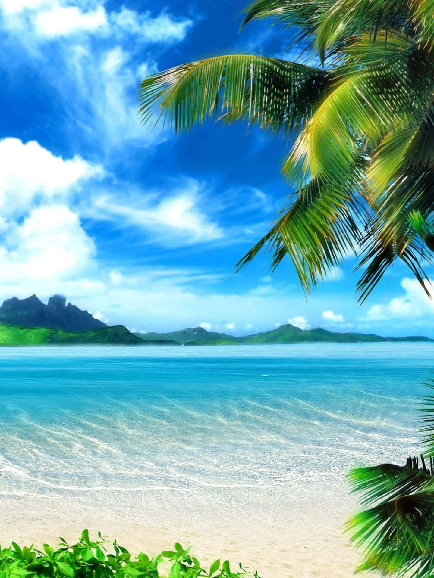 Tumblr Ipad Tropical Beach Photography Background