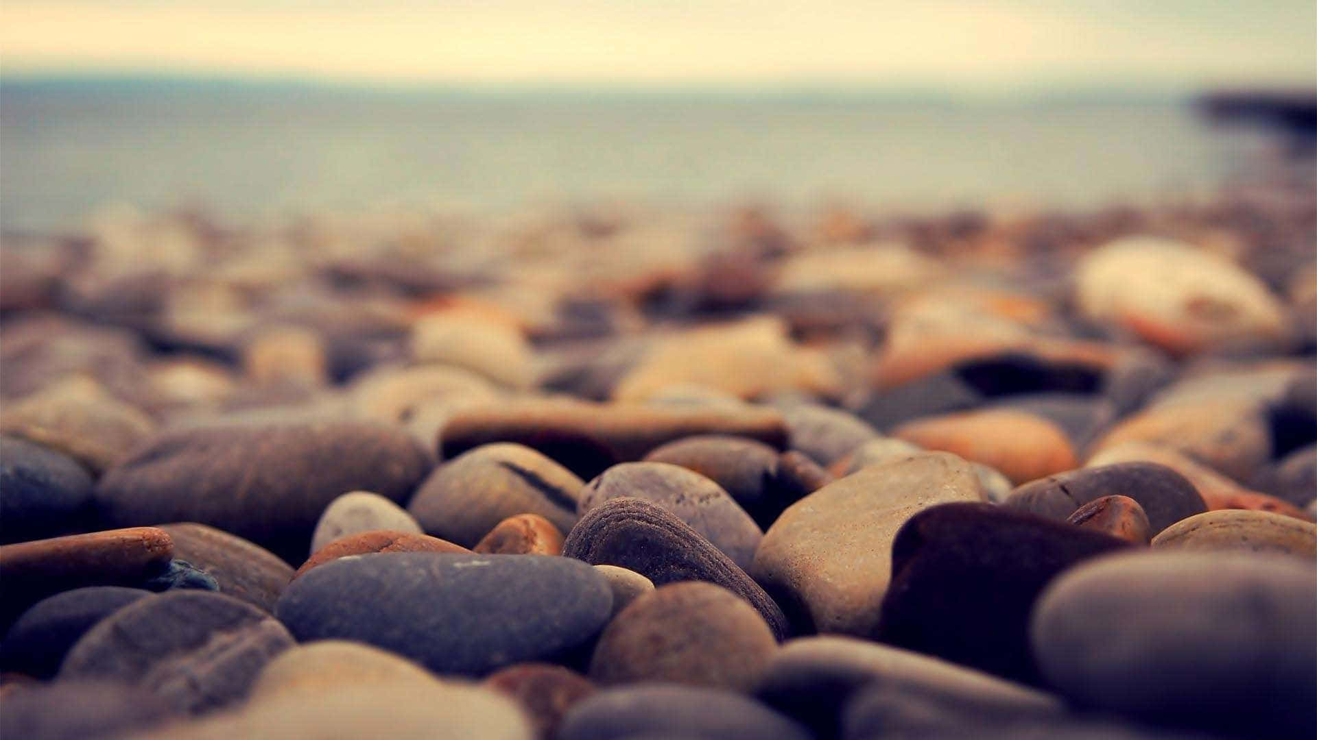 Tumblr Macro Photography Sea Pebbles