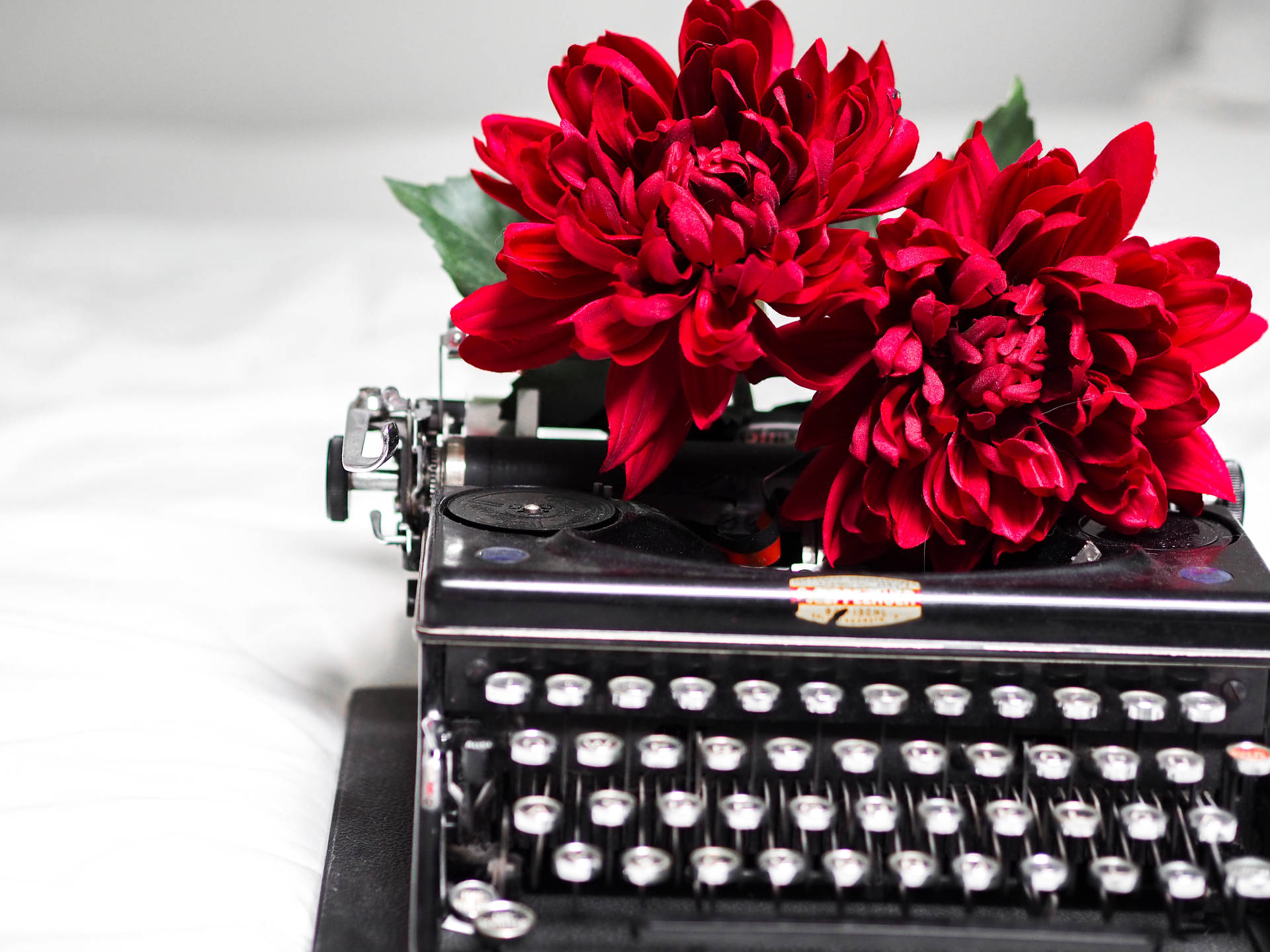 Tumblr Red Flowers And Typewriter Background