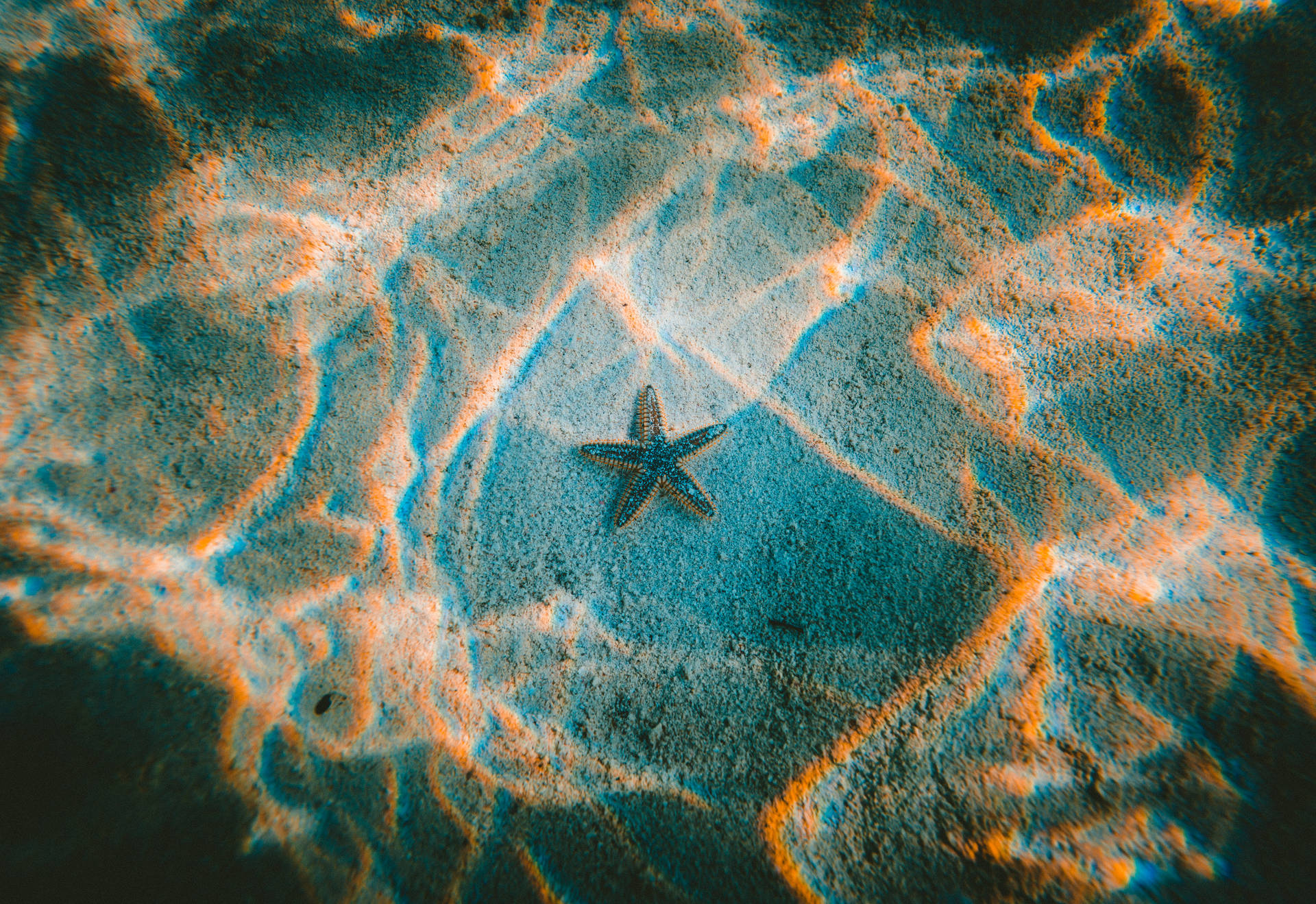 Tumblr Starfish In Water Background