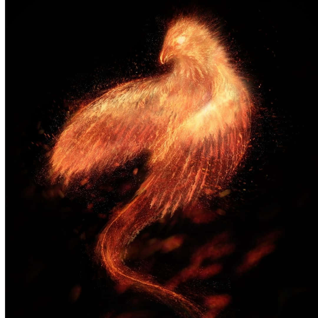 Tumultuous Phoenix Force Background