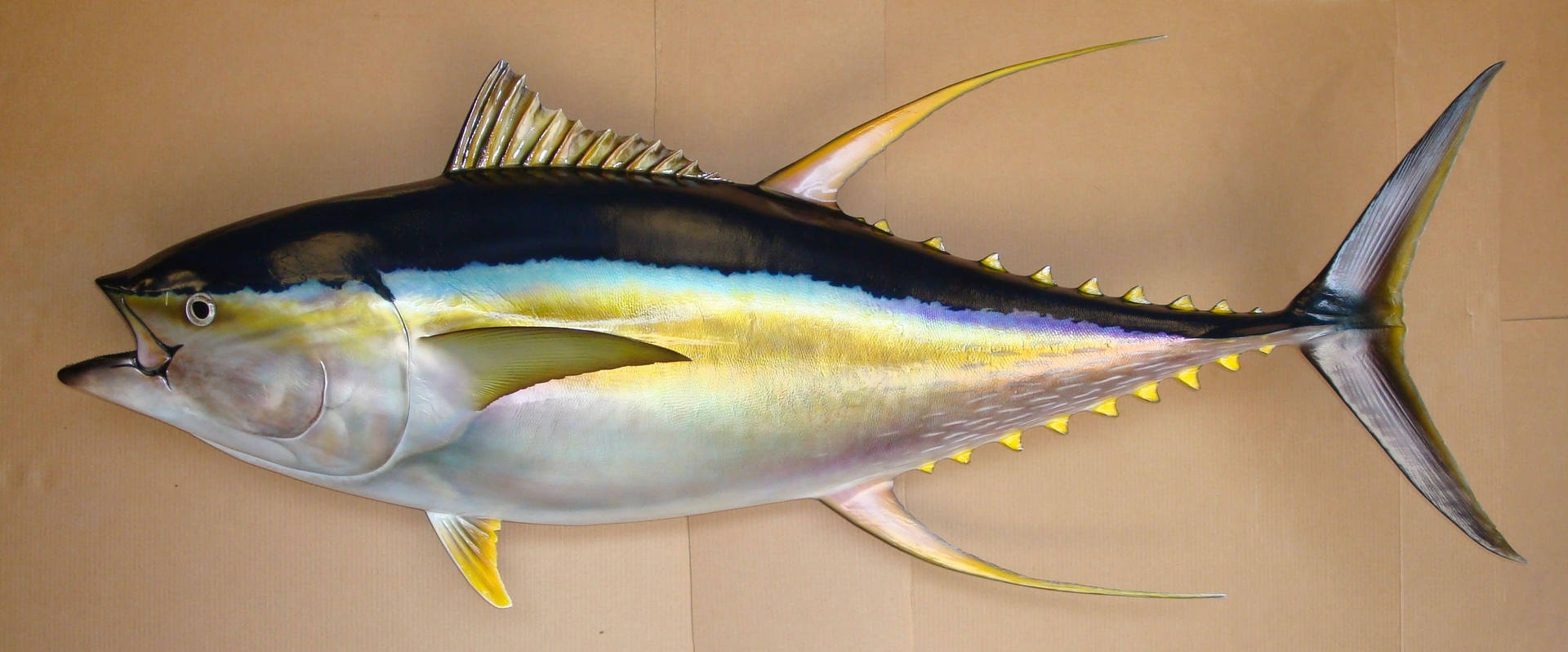 Tuna Fish On Brown Background