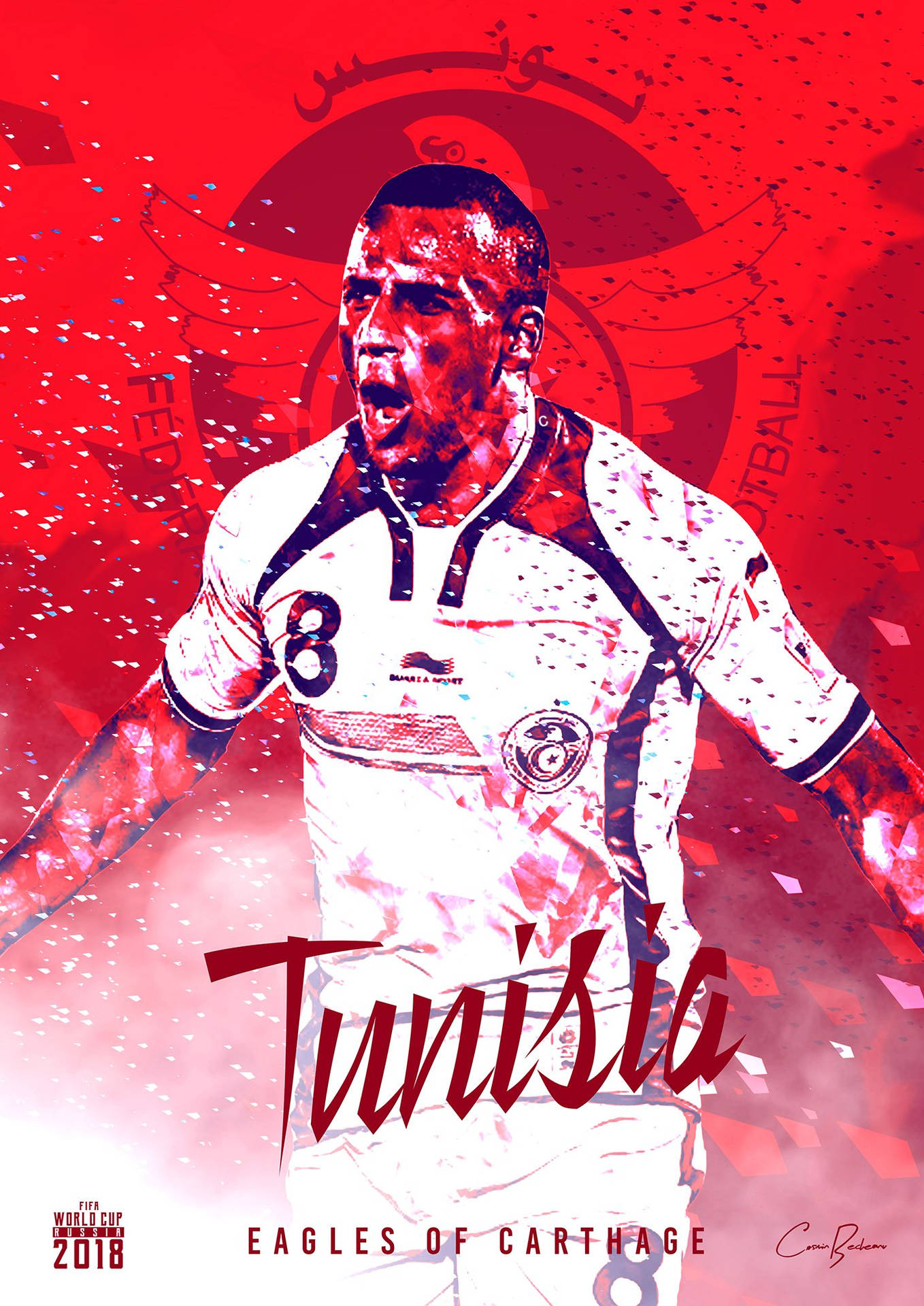 Tunisia National Football Team Eagles Of Carthage Background