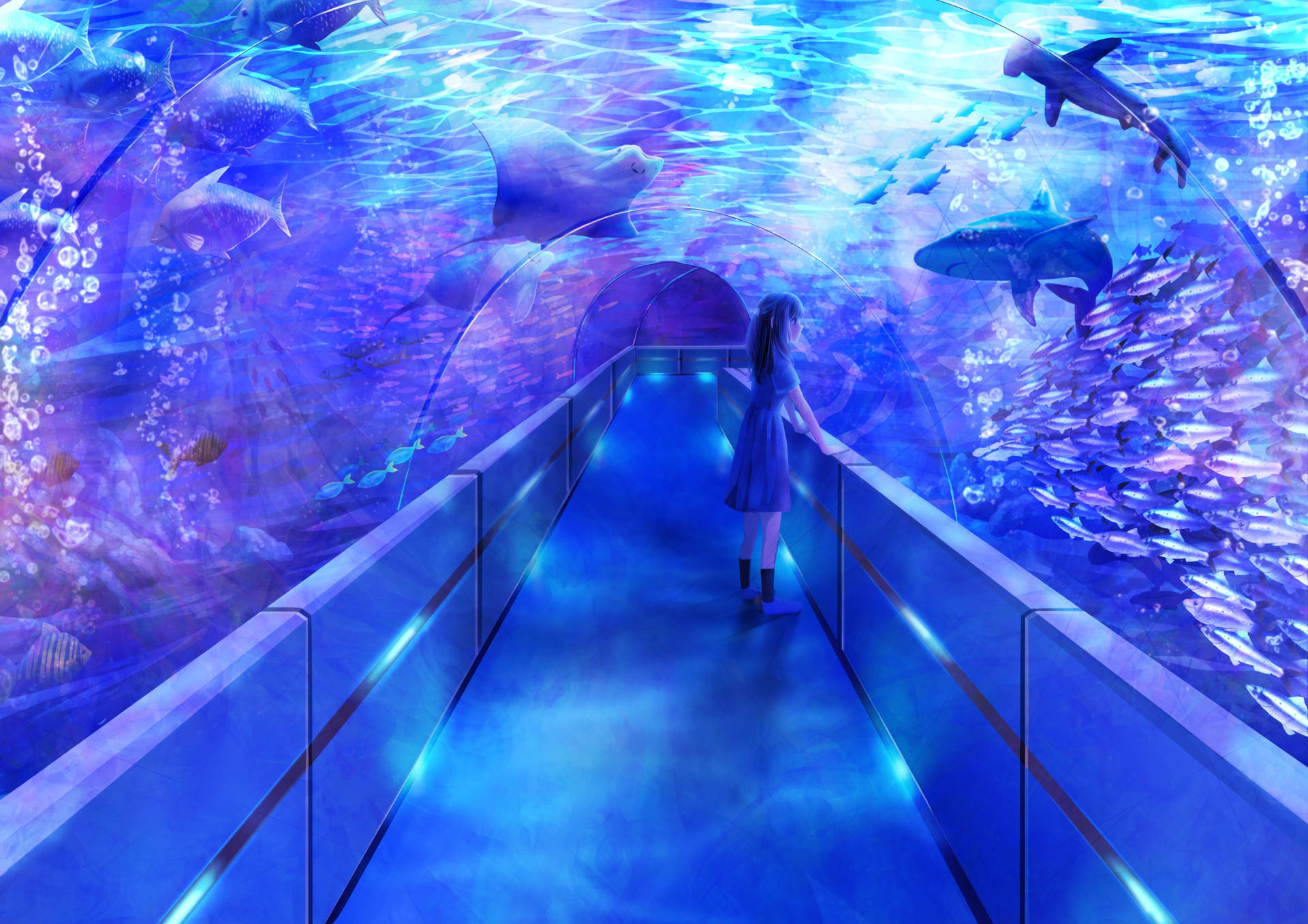 Tunnel Aquarium Digital Art Background