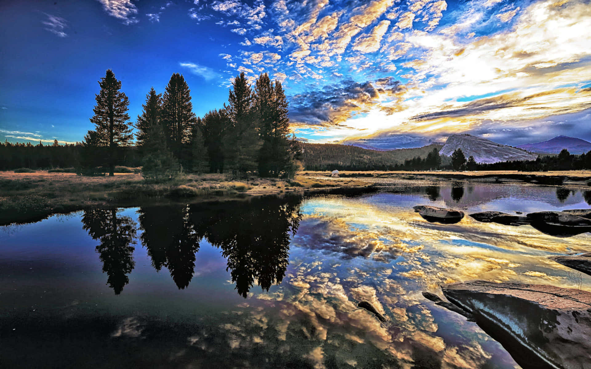 Tuolumne River Nature Photography Background