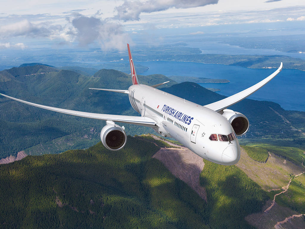 Turkish Airlines B787-9 Airplane Model