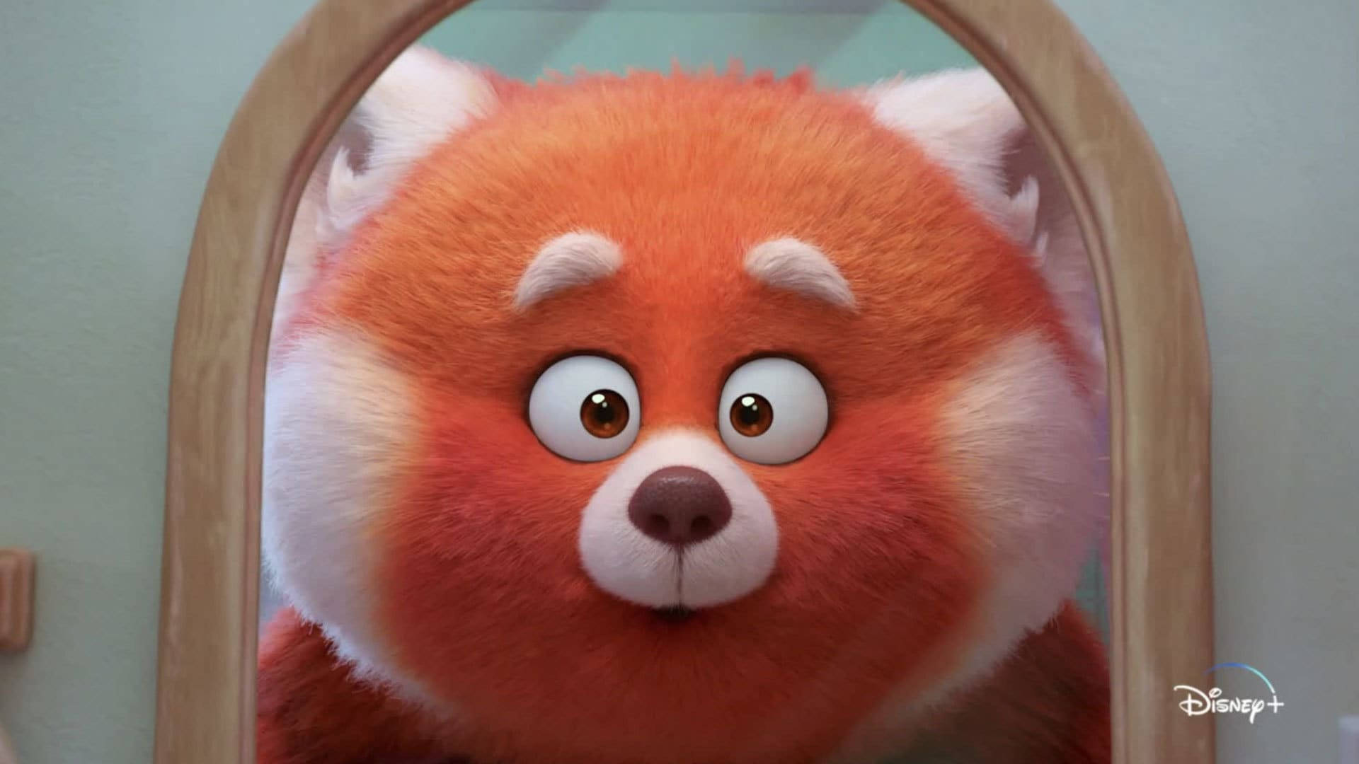 Turning Red Panda In The Mirror Background