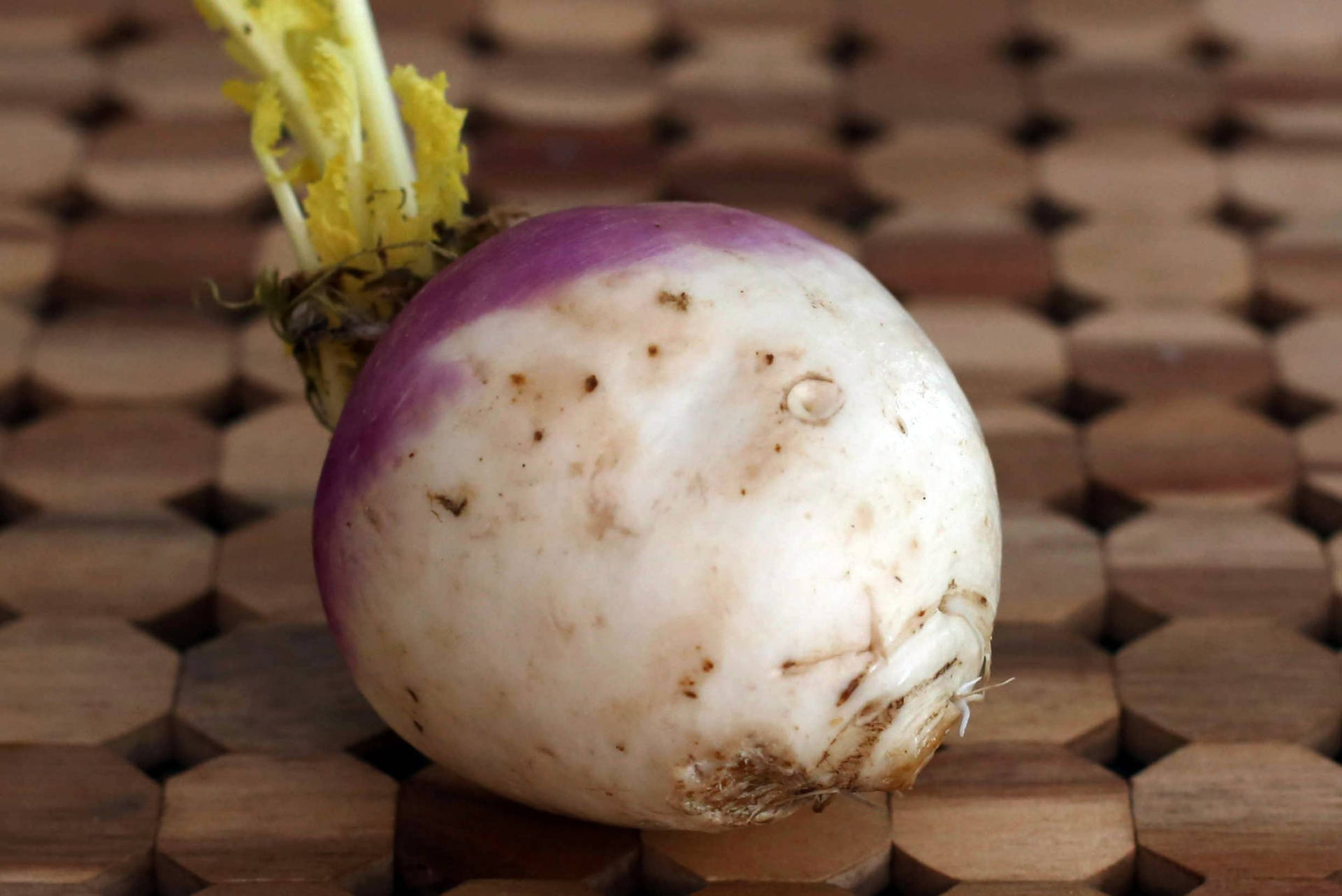 Turnip On Octagon Pattern Table Background