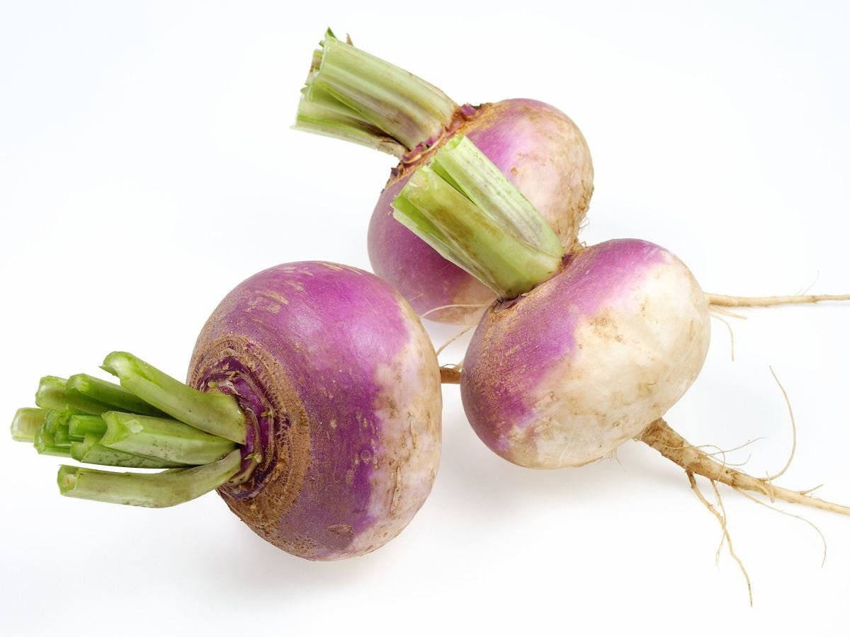 Turnip Without Leaves In White