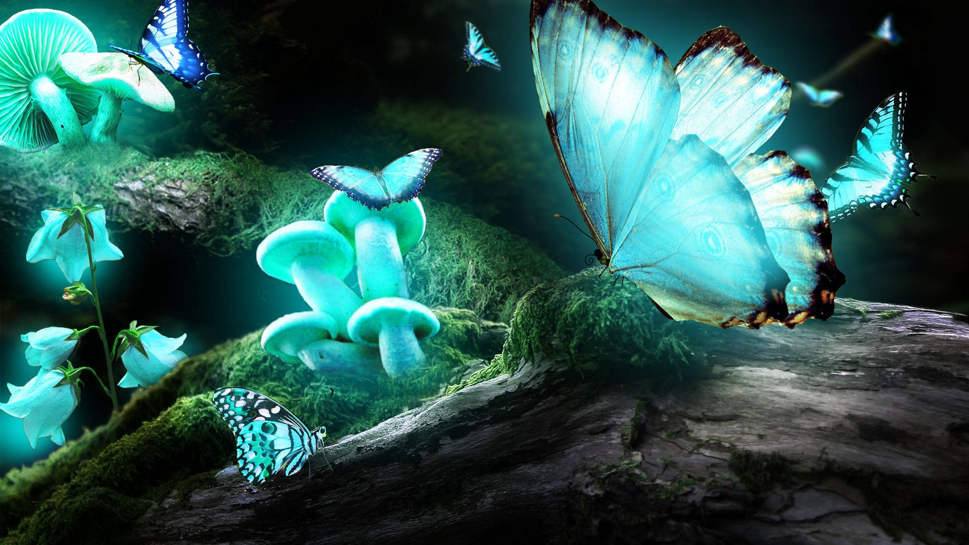 Turquoise Night Butterfly And Mushrooms Background