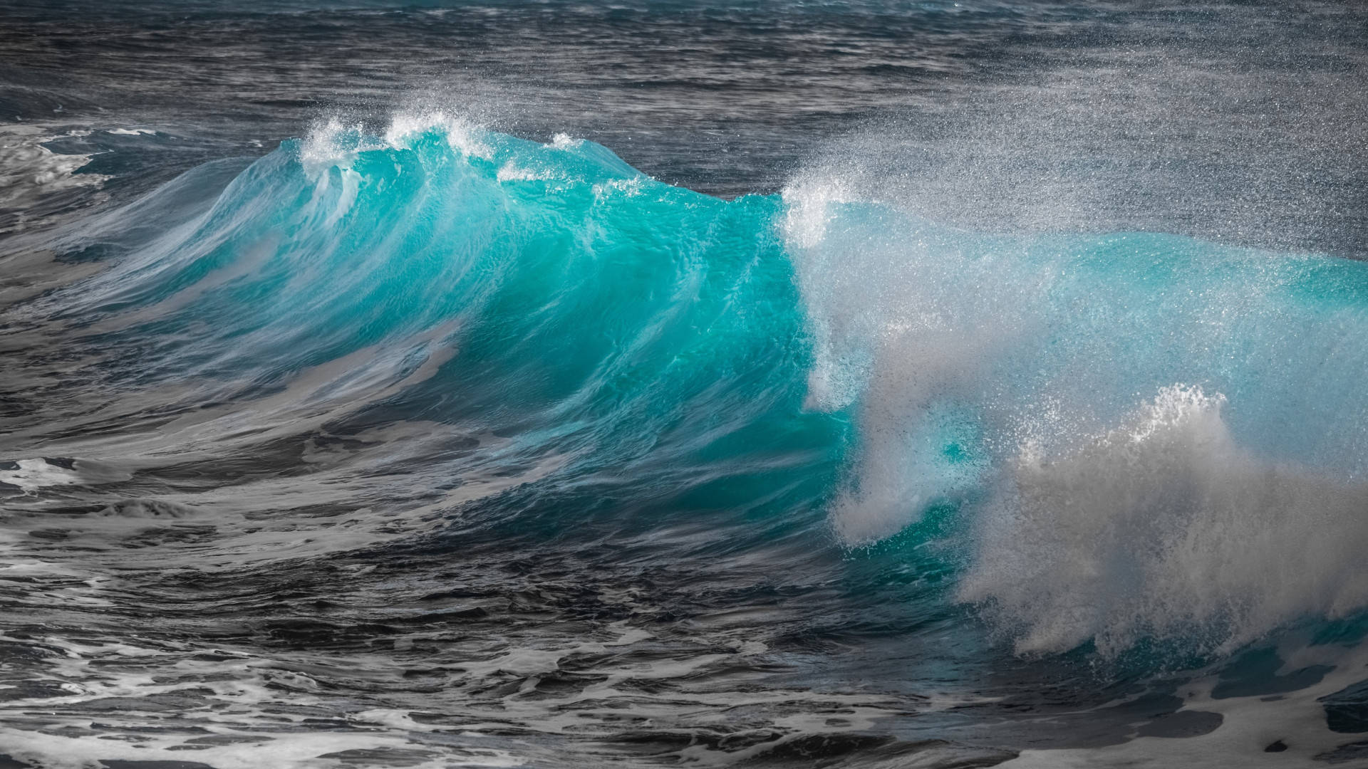 Turquoise Ocean Wave