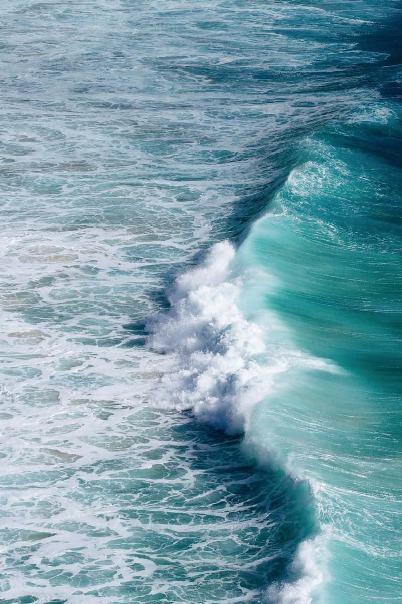 Turquoise Wave Cresting Background