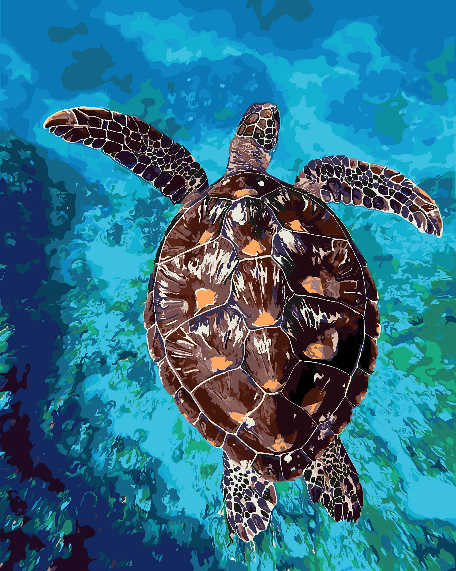 Water Turtle Backgrounds