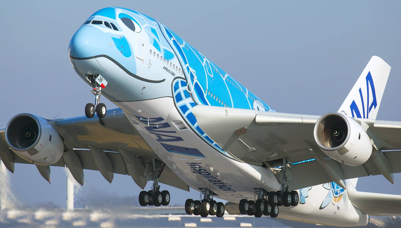 Turtle-themed Ana Plane Flying Upwards