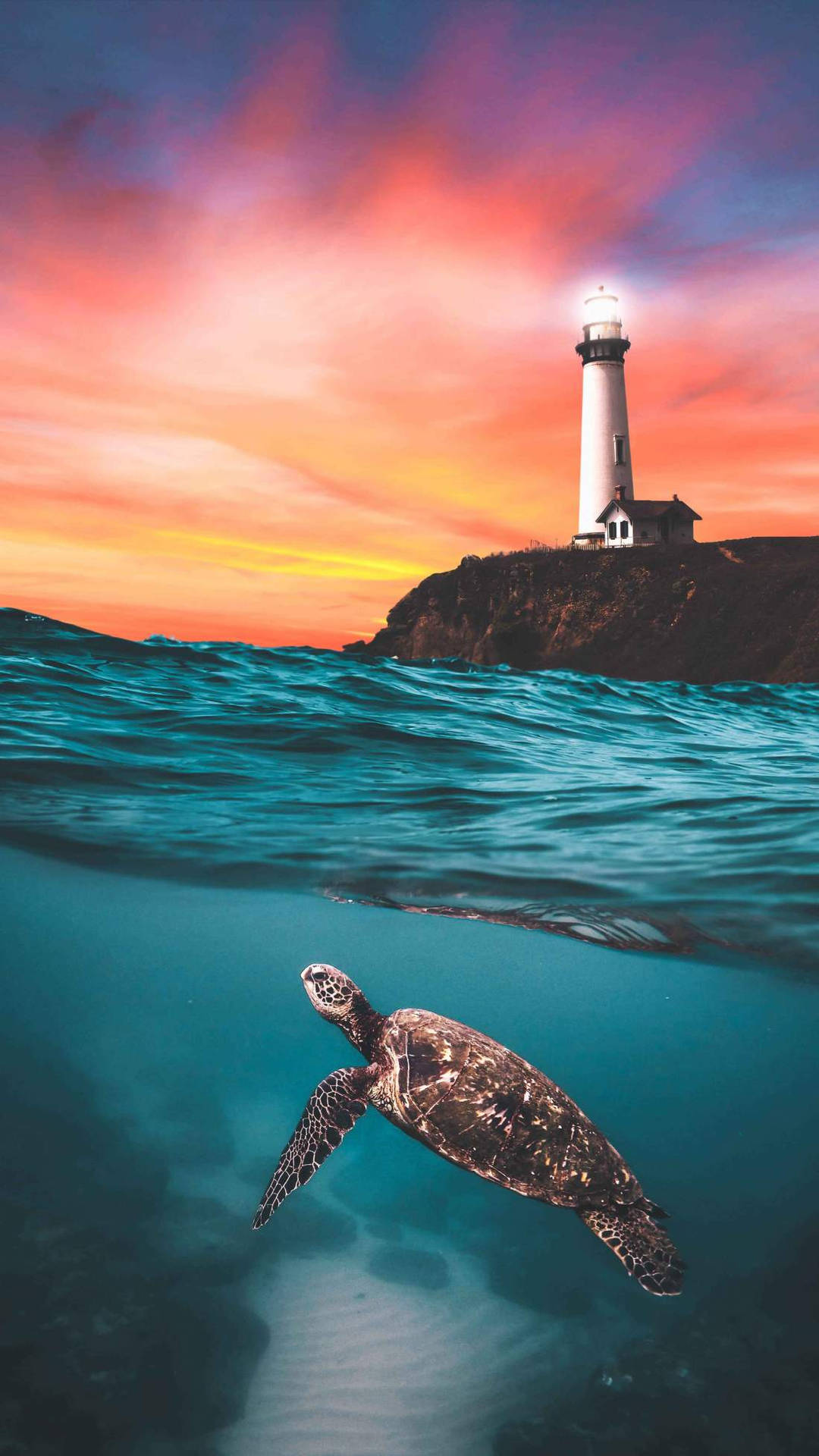 Turtle With Lighthouse Background